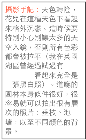 攝影手記：天色轉陰，花兒在這種天色下看起來格外沉鬱。這時候要特別小心別讓太多的天空入鏡，否則所有色彩都會被拉平（我在英國湖區曾經過試過有一張彩色照片看起來完全是一張黑白照）。道廳的園林本身條件很好，很容易就可以拍出很有層次的照片：垂枝、池塘，以至不同顏色的背景。